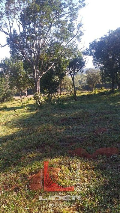 Terreno, 5000 m² - Foto 5
