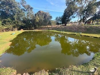 Chácara, 2 hectares - Foto 2