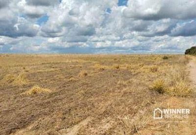 Fazenda, 128660769 hectares - Foto 4
