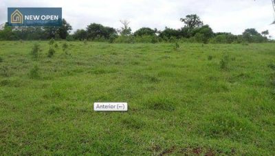 Terreno, 1 hectares - Foto 4