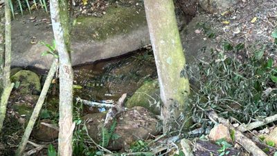 Terreno, 4 hectares - Foto 4