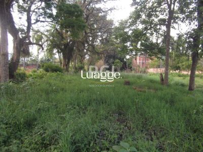 Terreno, 2278 m² - Foto 4