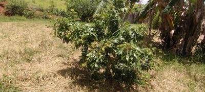 Terreno, 5 m² - Foto 1