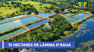 Fazenda, 117 hectares - Foto 5