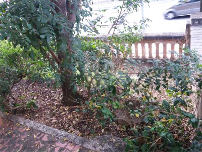 Terreno, 576 m² - Foto 4