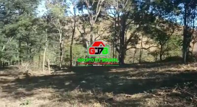Terreno, 3 hectares - Foto 1