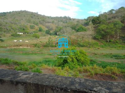 Terreno, 7 hectares - Foto 3