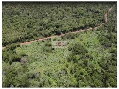 Fazenda, 233 m² - Foto 3
