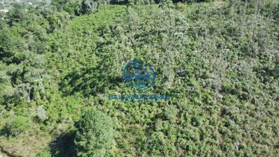 Terreno, 2 hectares - Foto 2