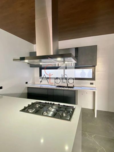 Sobrado, 4 quartos, 566 m² - Foto 1