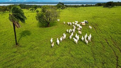 Fazenda, 363 hectares - Foto 2