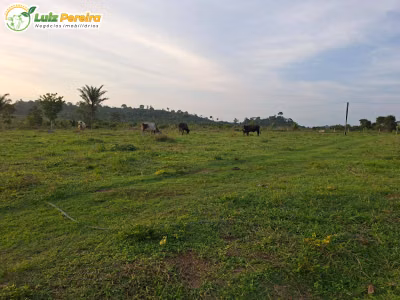 Terreno, 774 m² - Foto 4
