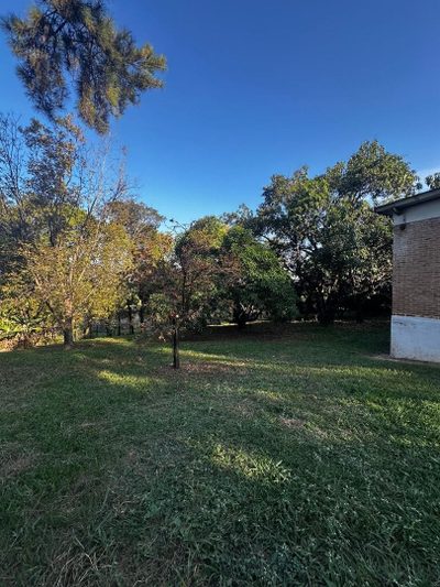 Chácara, 2 quartos, 5050 m² - Foto 4