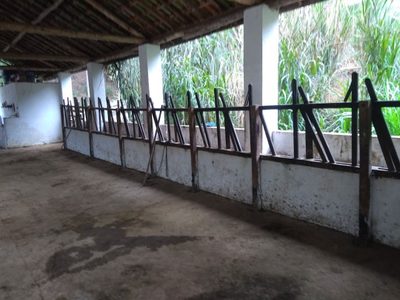 Fazenda, 600 m² - Foto 3