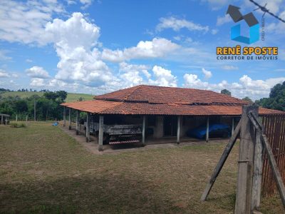 Sítio, 3 quartos, 5560 m² - Foto 3