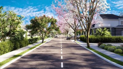 Terreno, 250 m² - Foto 3