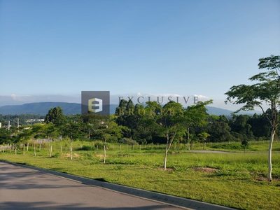 Terreno, 800 m² - Foto 5