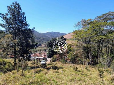 Terreno, 4 hectares - Foto 4