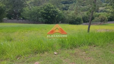 Terreno, 1000 m² - Foto 3
