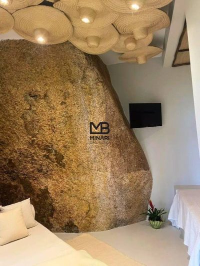 Casa, 5 quartos, 500 m² - Foto 4