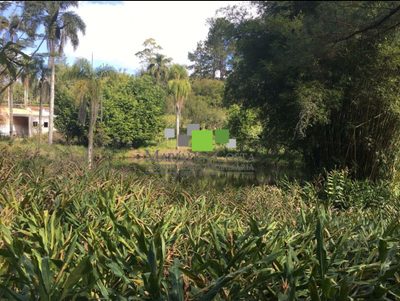 Terreno - Foto 5