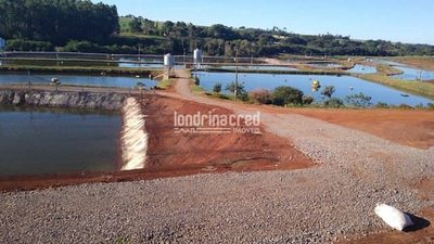 Sítio, 1 quarto, 10 m² - Foto 2