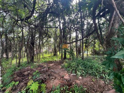 Loteamento e Condomínio, 1000 m² - Foto 4