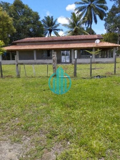 Fazenda, 50 hectares - Foto 5