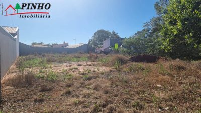 Terreno, 325 hectares - Foto 2