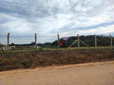 Terreno, 3 hectares - Foto 3