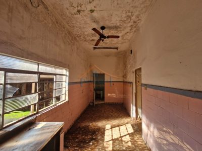 Casa, 2 quartos, 591 m² - Foto 4