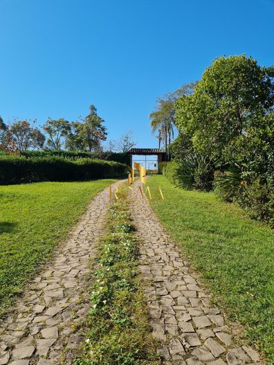 Sítio, 5 quartos, 2 hectares - Foto 2