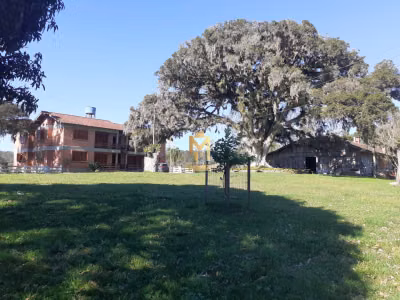 Fazenda, 44 hectares - Foto 1