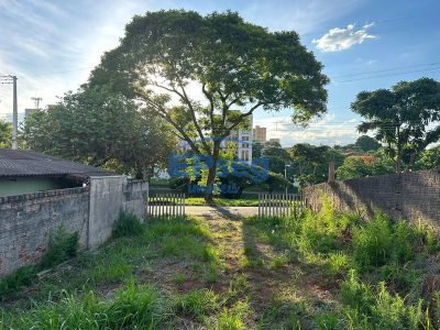 Terreno, 250 m² - Foto 3
