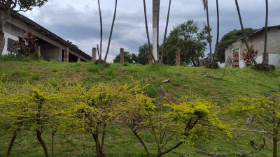 Terreno, 2 hectares - Foto 4