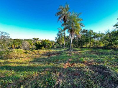 Chácara, 5 hectares - Foto 4