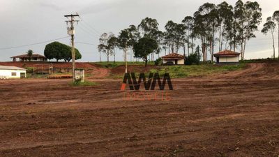 Fazenda, 4800 hectares - Foto 1