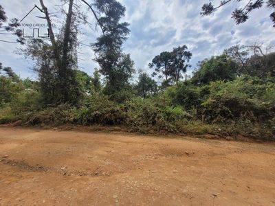 Terreno, 771 m² - Foto 5