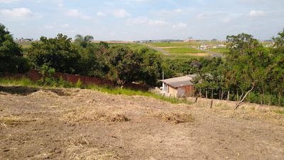 Terreno, 3166 m² - Foto 5
