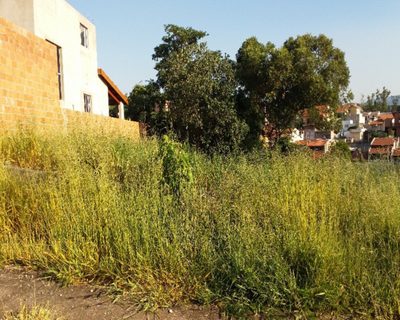 Terreno, 360 m² - Foto 3