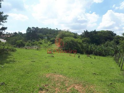 Terreno, 5 hectares - Foto 3