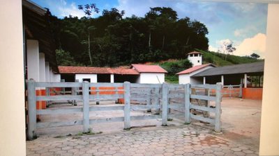 Fazenda, 97 hectares - Foto 4