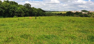 Terreno, 100 hectares - Foto 3