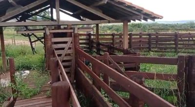 Fazenda, 216 hectares - Foto 1