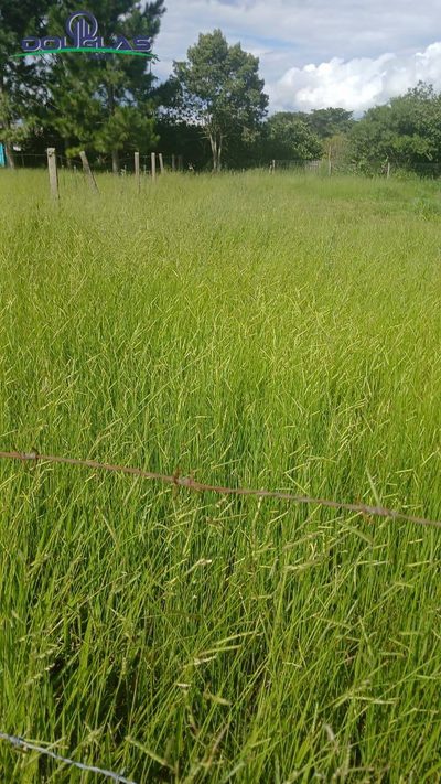 Terreno, 450 m² - Foto 4