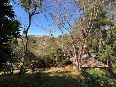 Terreno, 3335 m² - Foto 5