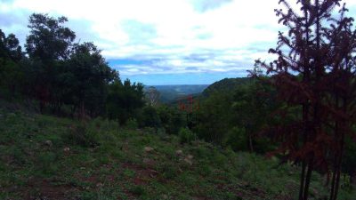 Sítio, 5 hectares - Foto 4