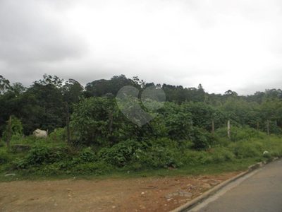Terreno, 3 hectares - Foto 1
