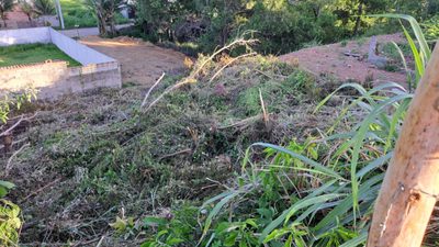 Terreno, 300 m² - Foto 3