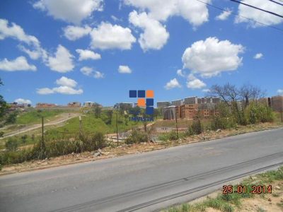 Casa, 4 quartos, 607 m² - Foto 4